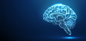 Abstract blue brain. Brain anatomy. Scheme of parts of human brain. Low poly style design. Geometric background. Wireframe light connection structure.