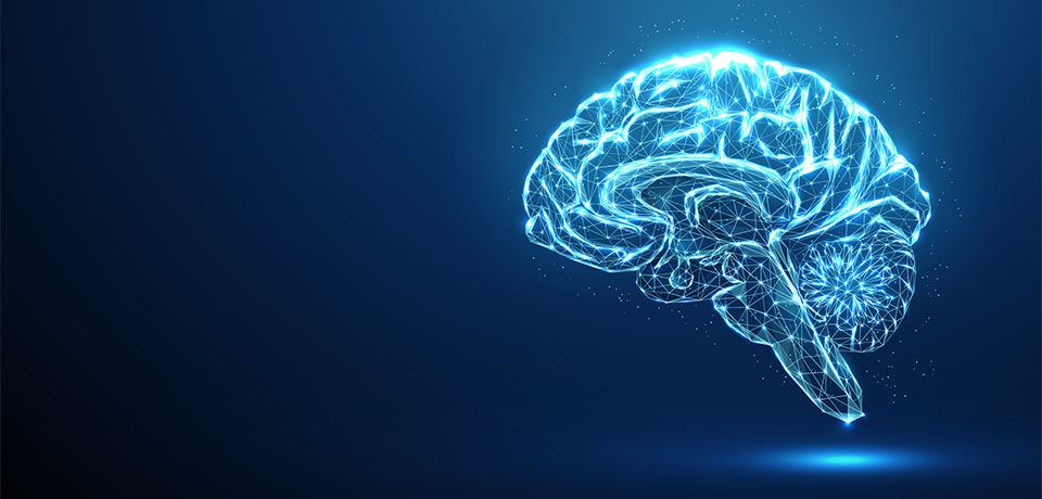Abstract blue brain. Brain anatomy. Scheme of parts of human brain. Low poly style design. Geometric background. Wireframe light connection structure.